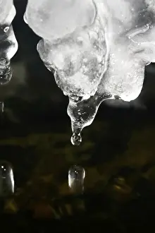 Winter Germany Drucke: Ice, Winter, Germany