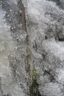Hesse Germany Landscape Photo Drucke: Iced-over stream, ice formations
