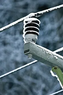 Bavaria Winter Scene Drucke: Iced over power pole in a forest
