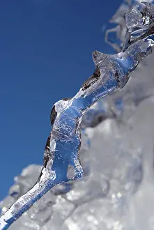 European Winter Scene Drucke: Icicle under a blue sky, diagonal