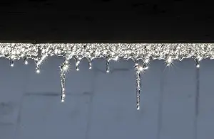 Icicle Detail View Drucke: The icicle is glitter in the sun