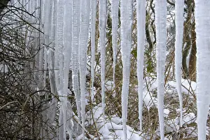 Icicle Formation Drucke: Icicle, icicle