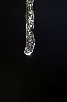 Global Warming Effects Drucke: Icicle in thaw
