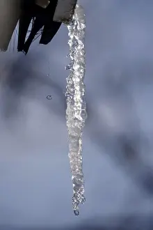 Deserted European Village Drucke: Icicle, Winter, Germany