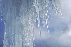 Close Up Icicles Drucke: Icicles