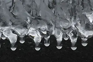 Frozen Water Drops Drucke: Icicles