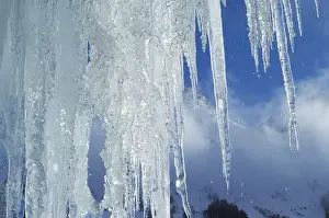 Icicles Close Up Drucke: Icicles