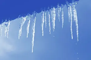 Daytime Winter Landscape Drucke: Icicles