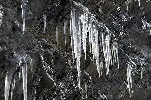 White Ice Formation Drucke: Icicles