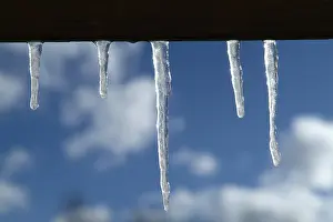 Hoarfrost Images Drucke: Icicles
