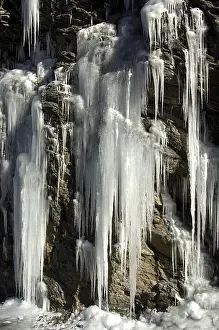 Cold Temperature Photography Drucke: Icicles