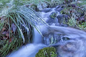 Blurred Motion Winter Scene Drucke: Icicles on grass along mountain river in winter