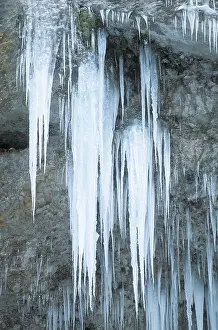 Frozen Winter Landscape Drucke: Icicles on a rock face
