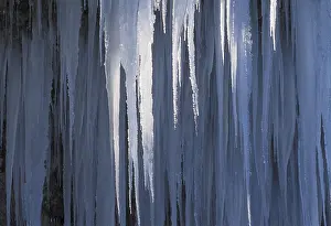 Icicles On Rock Face Drucke: Icicles on a rock face
