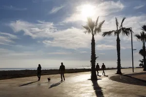 Palm Tree Silhouette Drucke: Idyllic beach promenade in backlight