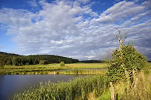 Gerahmter Druck : Gerahmter Druck :