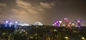 Gardens By The Bay Singapore Drucke: Illuminated Super Trees at night
