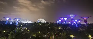 Gardens By The Bay Singapore Drucke: Illuminated Super Trees at night