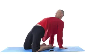 Fitness Studio Shot Drucke: Image of athletic man practicing pilates in studio