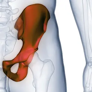 Joint Pain Diagnosis Drucke: Image converted using ifftoany