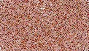 Abstract Design Drucke: This image features a 3D render of closely packed
