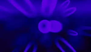 Abstract 3D Render Drucke: This image features a vivid 3D render of abstract