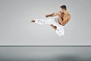 Martial Arts Master Drucke: An image of a martial arts master