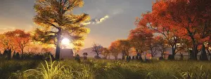 Autumn Landscape Drucke: An image of a nice autumn landscape