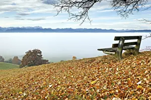 Autumn Landscape Drucke: An image of a nice autumn landscape