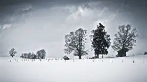 Winter Landscape Drucke: An image of a nice winter scenery