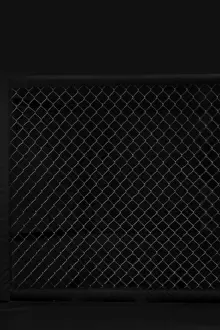 Martial Arts Training Drucke: Image of an octagon. Concept of boxing