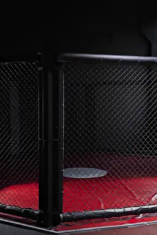 Martial Arts Training Drucke: Image of an octagon. Concept of boxing
