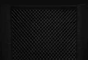 Martial Arts Training Drucke: Image of an octagon. Concept of boxing