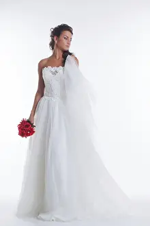 Young Bride Drucke: Image of pretty young bride posing with veil