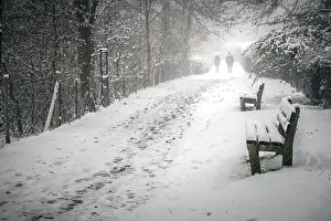 Deserted Snowy Landscape Drucke: An image of a snowy path in the winter