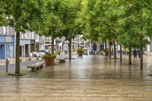 Pedestrian Street Scene Drucke: Impression of Troyes