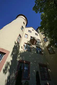Deserted Castle In Europe Drucke: Impressive tower of a castle with trees in the foreground and shadow effect