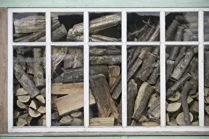Empty Forest Landscape Drucke: Indoor environment featuring a window