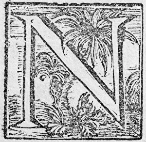 Historic American Illustration Drucke: Initial or an initial N, decorative initial letter