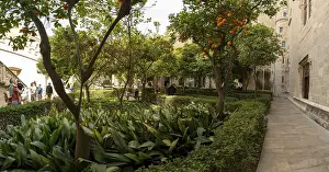 Gothic Style Buildings In Europe Drucke: Inner courtyard with orange trees