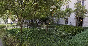 Valencia Spain Drucke: Inner courtyard with orange trees