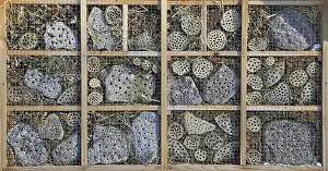 Ecofriendly Nesting Site Drucke: Insect hotel with different building materials