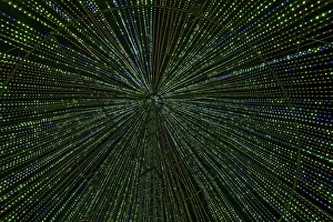 Deserted City At Night Drucke: Inside the illumi tree, light show
