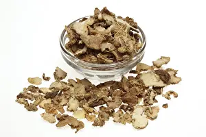 Insomnia Relief Drucke: Insomnia with irritability, palpitations