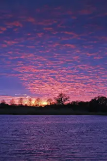 Sunset In Northern Germany Drucke: Intense sunset with dramatically colored sky over the river