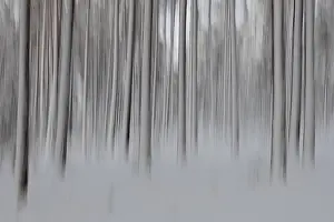 Blurred Motion Nature Photography Drucke: Intentional camera movement (ICM)