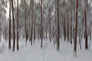Intentional Camera Movement Drucke: Intentional camera movement (ICM)