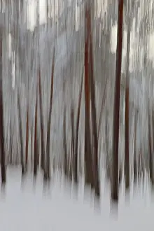 Time Exposure Photography Techniques Drucke: Intentional camera movement (ICM)