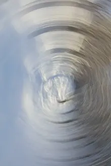 Intentional Camera Movement Drucke: Intentional camera movement (ICM)