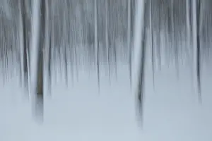 Time Exposure Photography Techniques Drucke: Intentional camera movement (ICM)